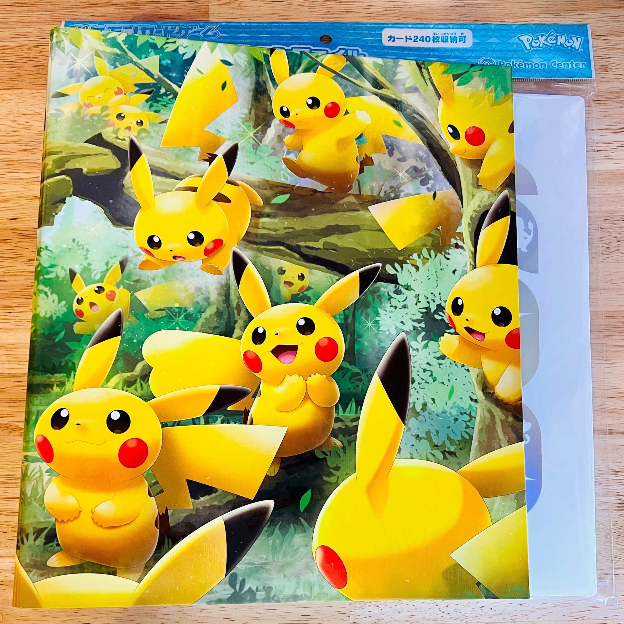ブイズSAが輝く！】ポケカのコレクションはノート式で保管しよう｜蒼井 