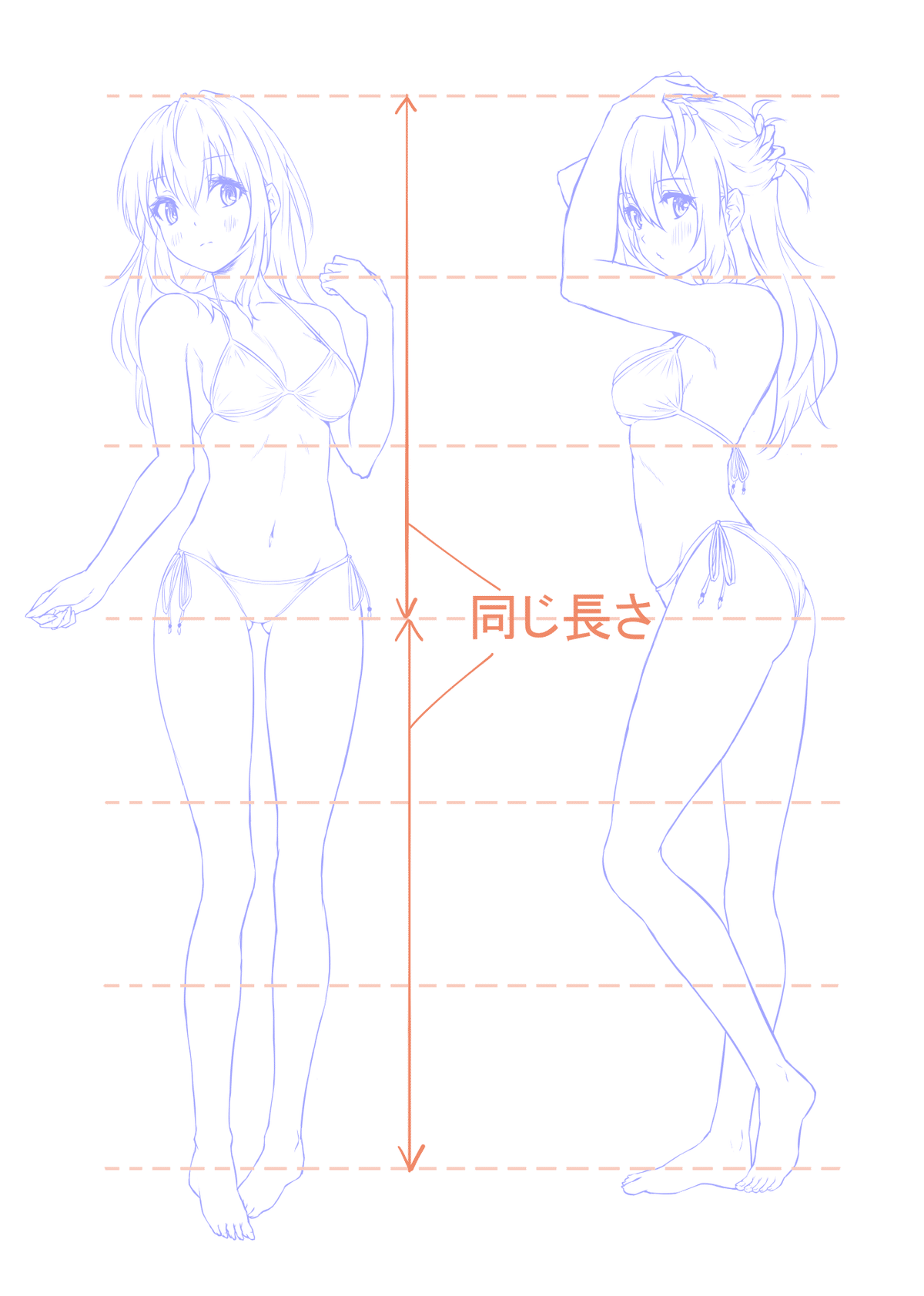 きれいな脚の美女 