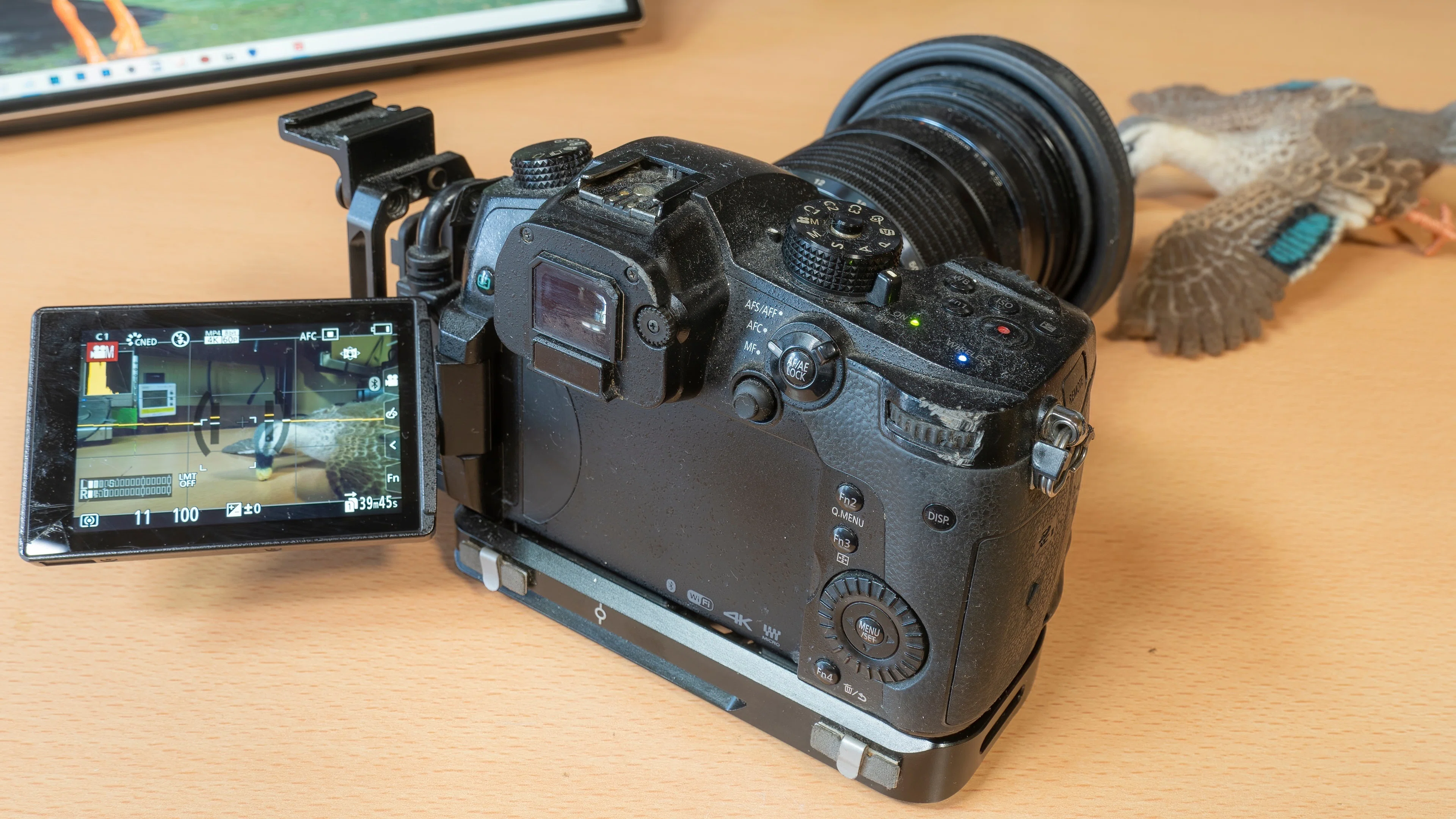 バードウォッチングにもLUMIX。4Kハイフレームレートで記録する身近で