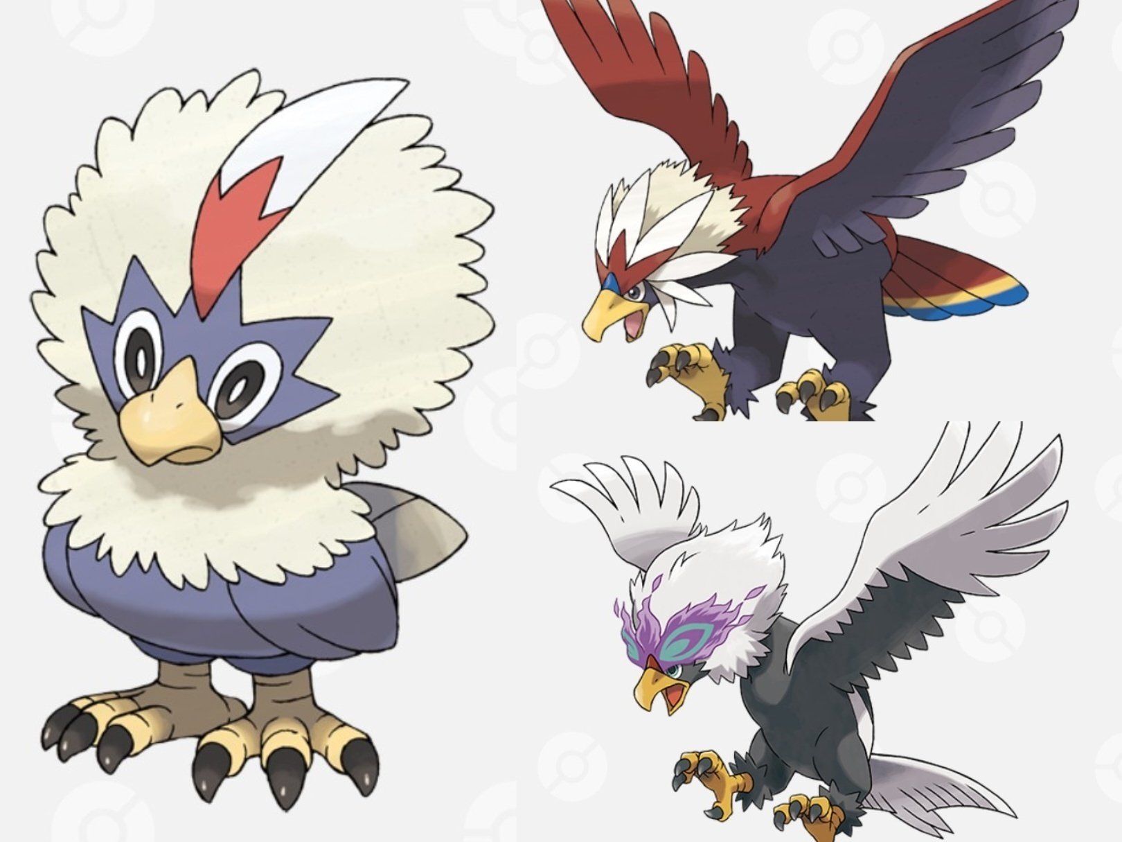 分類マニアならすべての分類について語れる説 ひこうタイプ編 リユルン Note 分類マニアならすべての分類について語れる説 ひこうタイプ編 リユルン Note