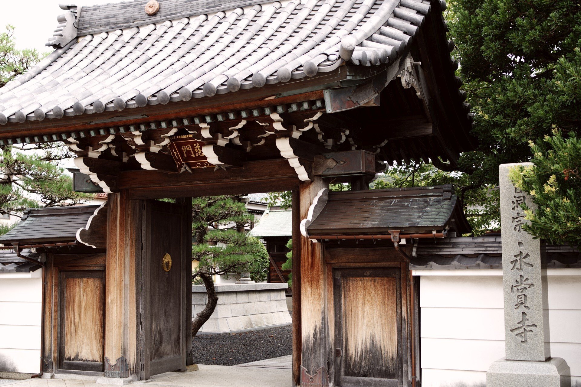 敦賀金ヶ崎歴史ウォーク (K-70 / smc PENTAX-FA 31mmF1.8 敦賀金ヶ崎歴史ウォーク (K-70 / smc PENTAX-FA 31mmF1.8