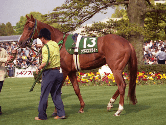 アグネスワールド ポスター競馬ウマ娘