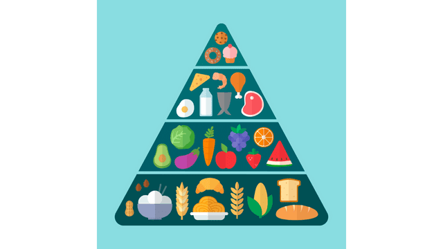 食品のピラミッド