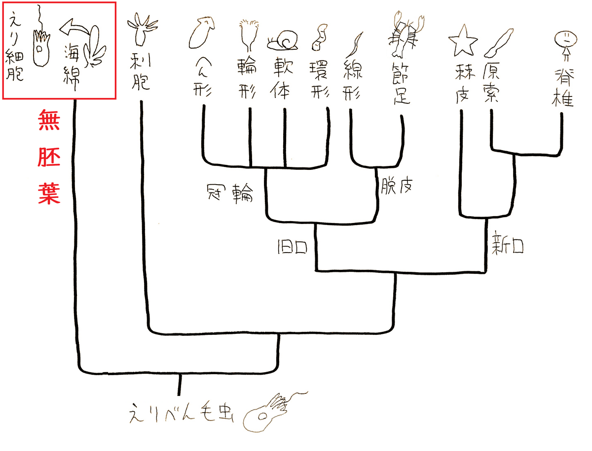 【中古本】動物系統分類学２ 41XQJCF27YL._UF350,350_QL50_.jpg