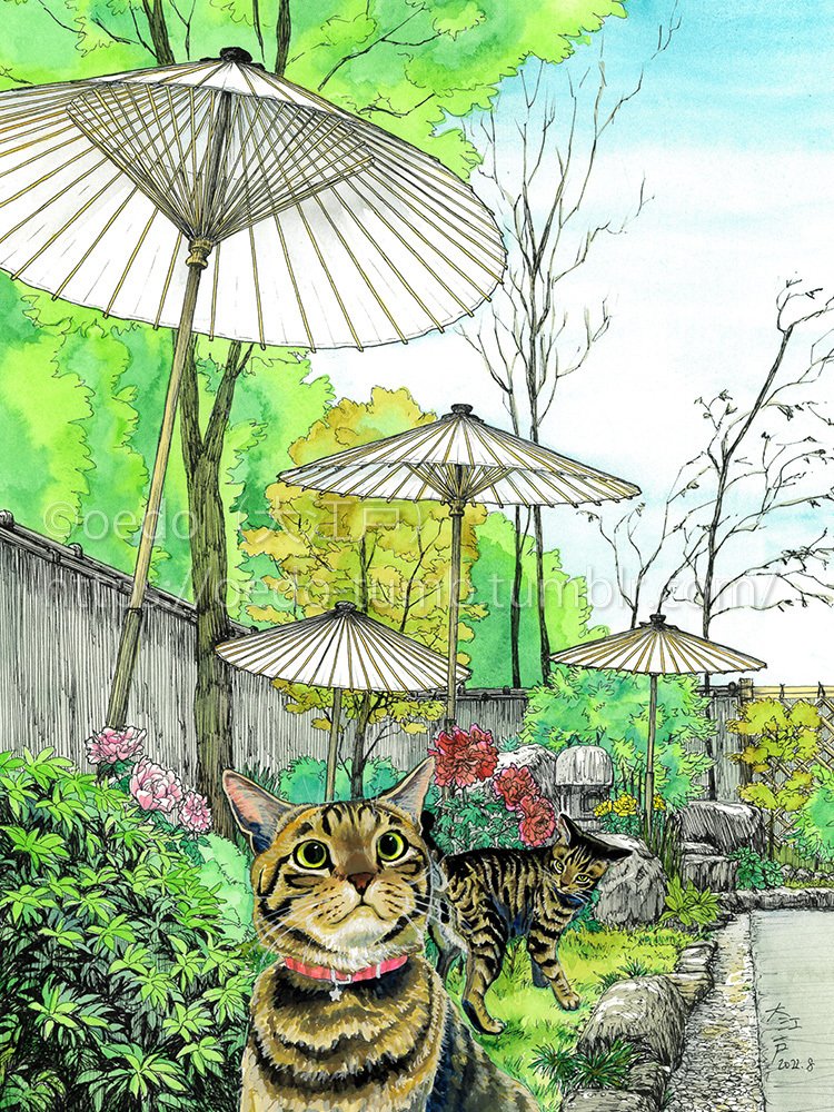 ちょっと時期外れですが花は牡丹です。鷺ノ宮のカフェMUSAさん（　https://www.cafemusa.com/　）で絵を展示していただいてます。ペン+透明水彩、猫はアクリルガッシュ