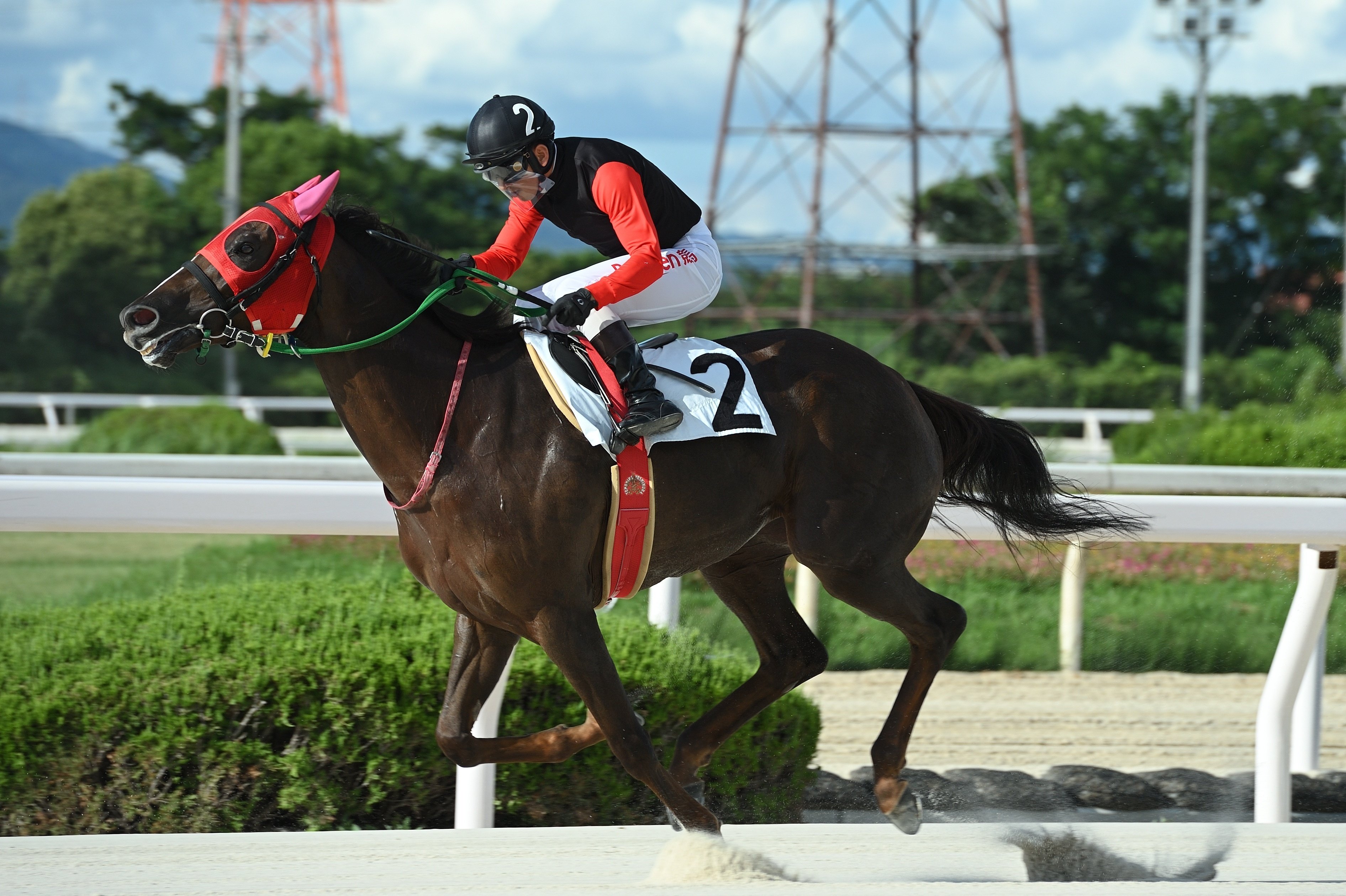 園田競馬場へ行ってきた｜鷺
