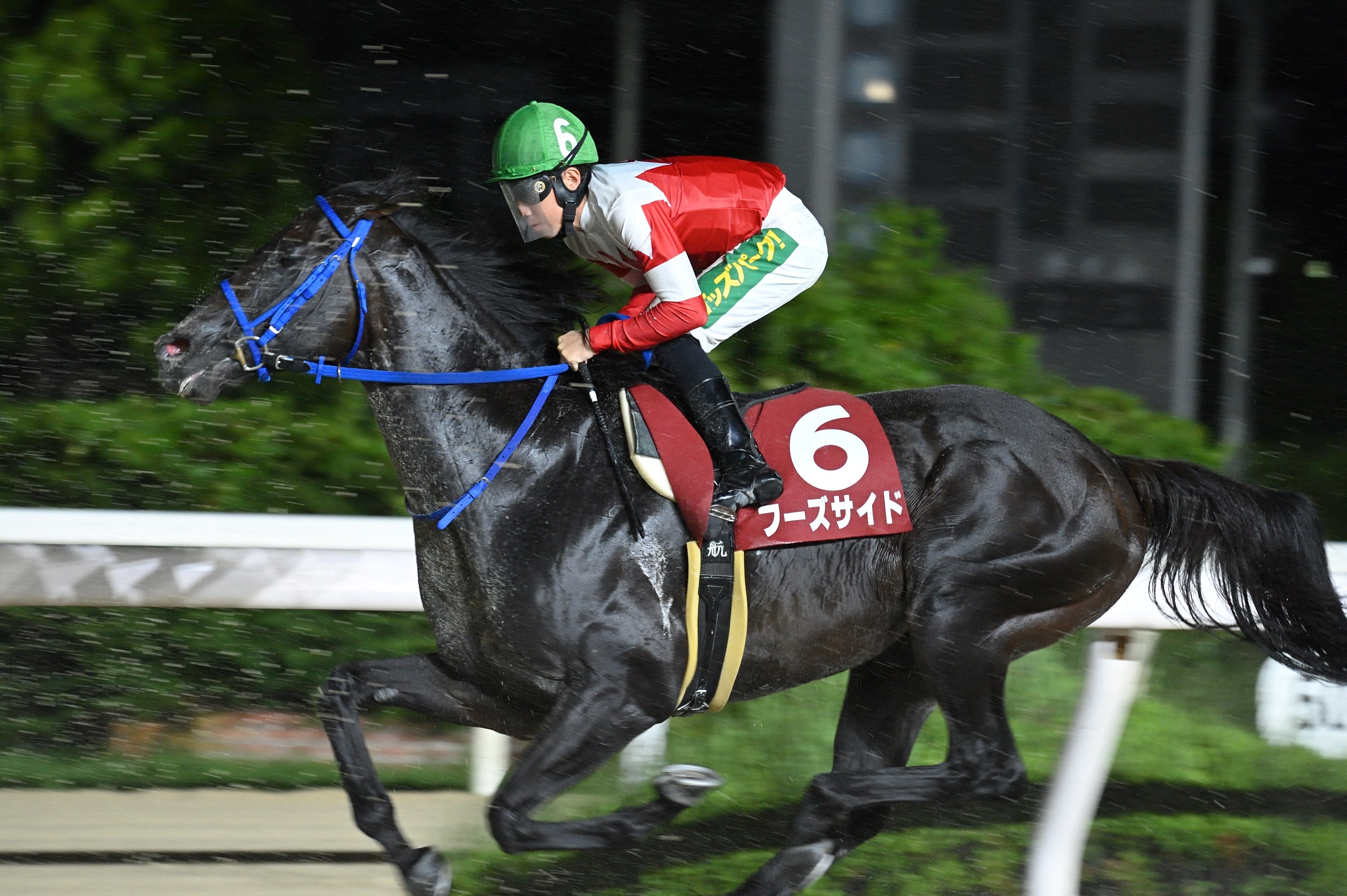 園田競馬場へ行ってきた｜鷺