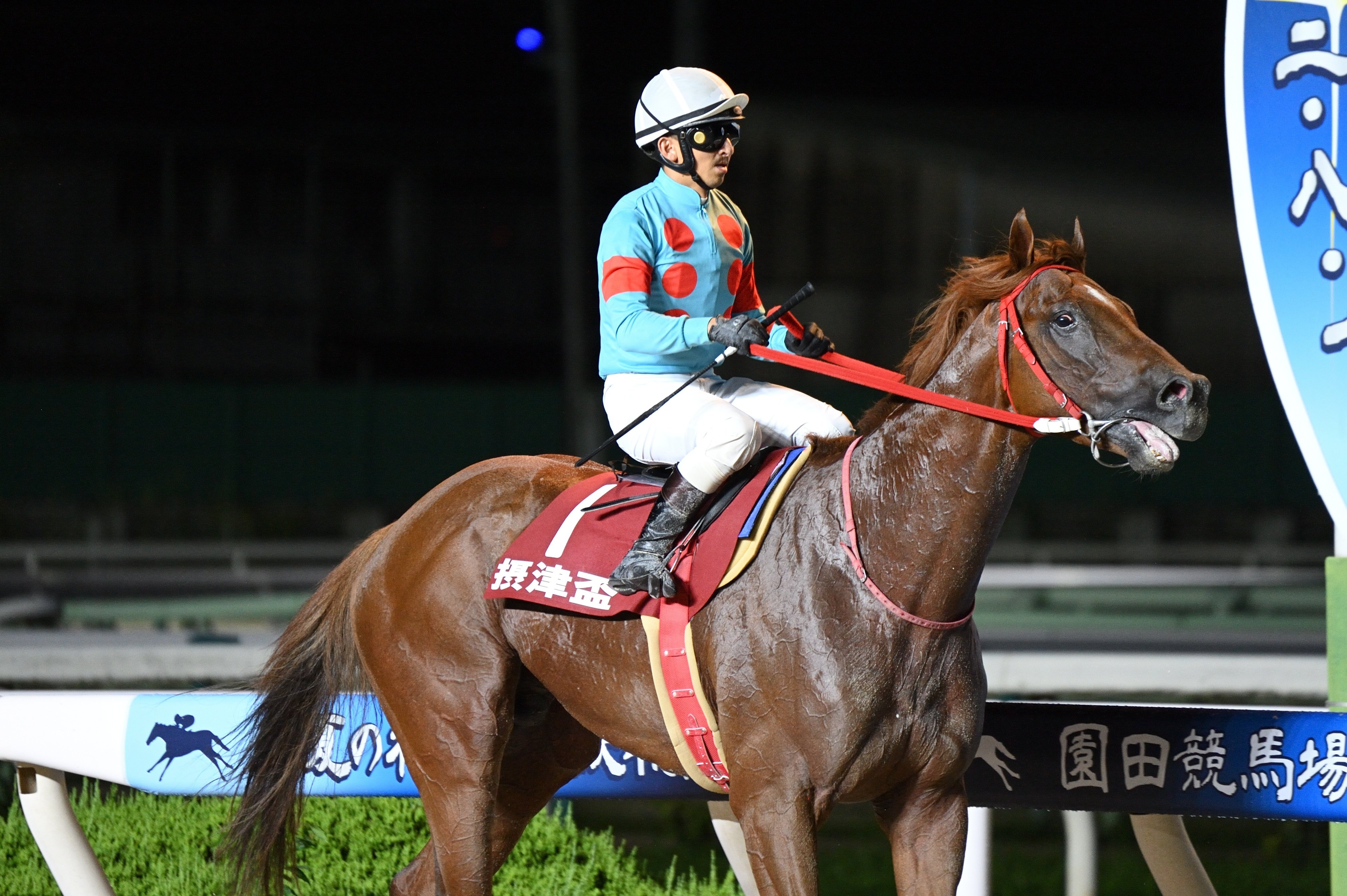 園田競馬場へ行ってきた｜鷺