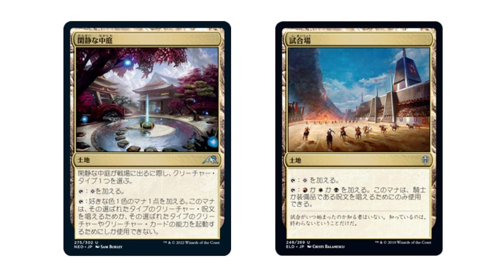 マジックザギャザリング mtg パイオニア　デッキ　白黒騎士 MTG 構築済みデッキ パイオニア 初〜ガチ勢復帰組 白黒騎士