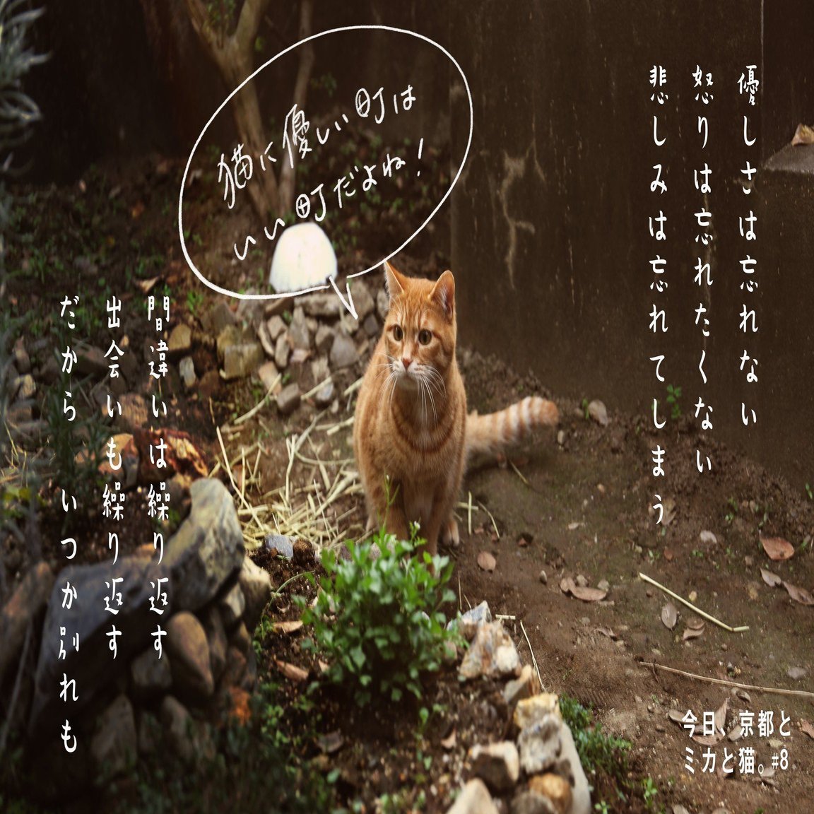 今日 京都とミカと猫 2 制作裏話vol 5 Poetic Mica Drops ポエティック ミカ ドロップス Note