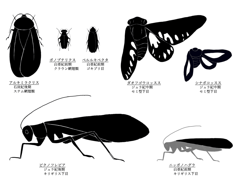 なかなか手に入らない　ミラビリスダイコクコガネ A-ペア 古生物飼育小説Lv100 第八十二話をサイトに掲載しました｜始祖鳥堂まふ