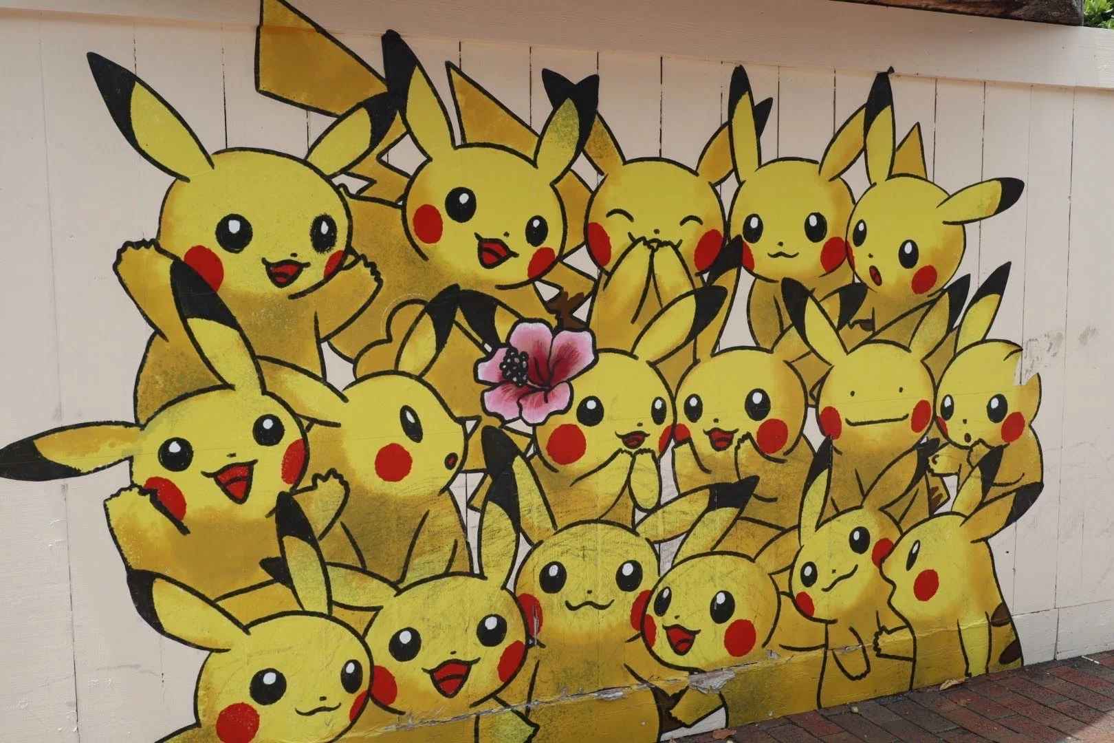 沖縄にはポケモンがいた！-そらとぶピカチュウプロジェクト-｜watanabe