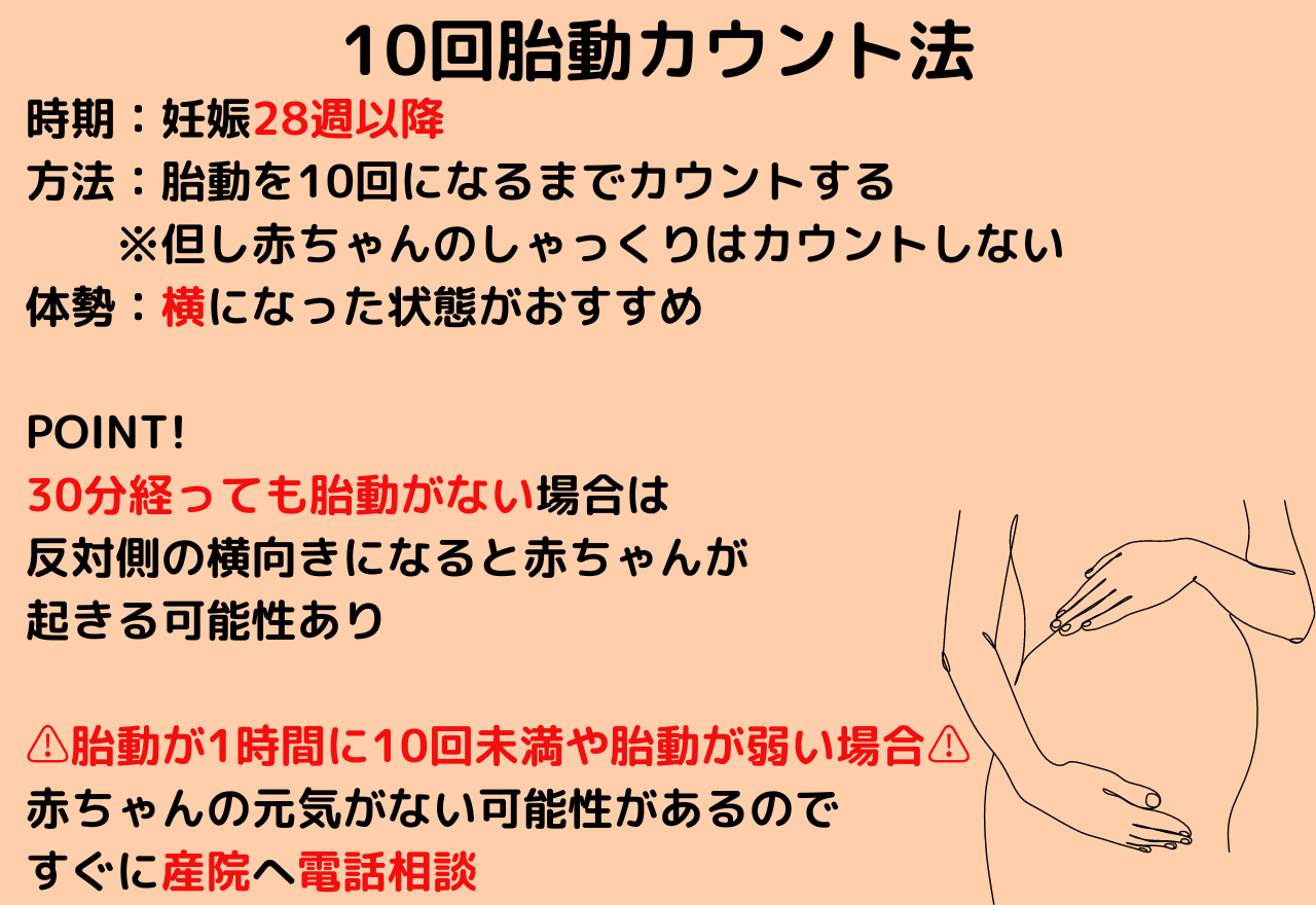 胎動カウント完全ガイド 助産師sui Note 胎動カウント完全ガイド 助産師sui Note