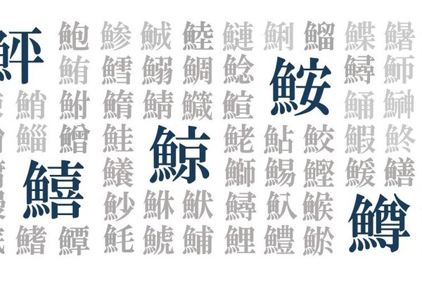 魚へん漢字 の新着タグ記事一覧 Note つくる つながる とどける 魚へん漢字 の新着タグ記事一覧 Note つくる つながる とどける