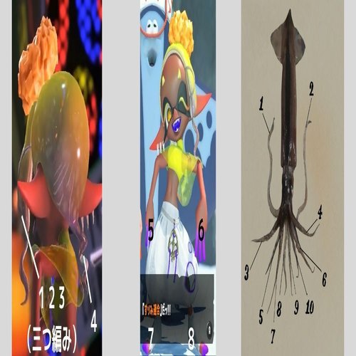 スプラトゥーン３考察 スプラ３ではイカとタコの境界線がなくなる わかば Note