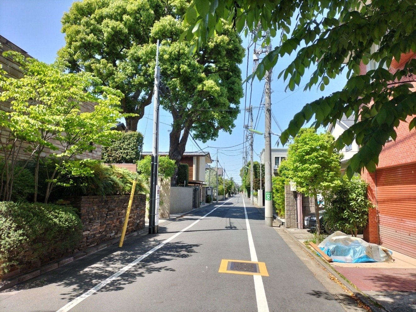 第25回 三船敏郎、成城の街を行く|成城学園 第25回 三船敏郎、成城の街を行く|成城学園