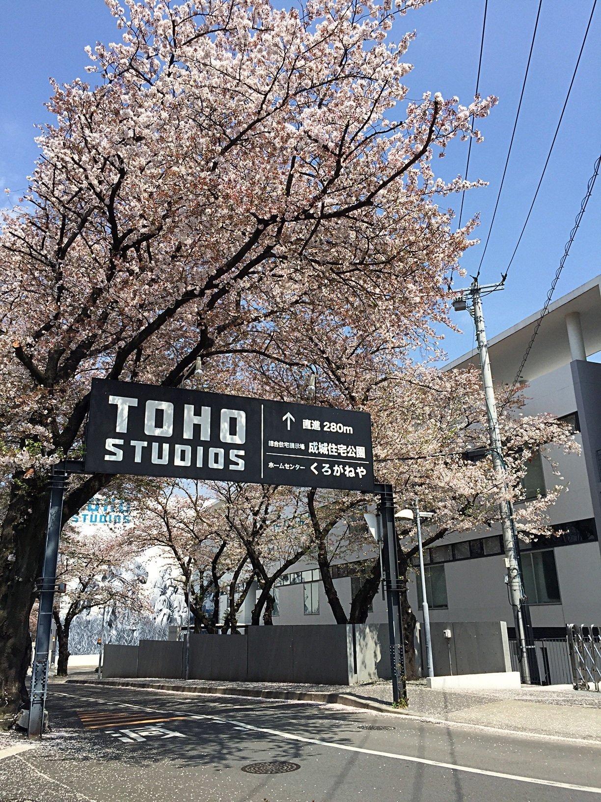 第25回 三船敏郎、成城の街を行く|成城学園 第25回 三船敏郎、成城の街を行く|成城学園
