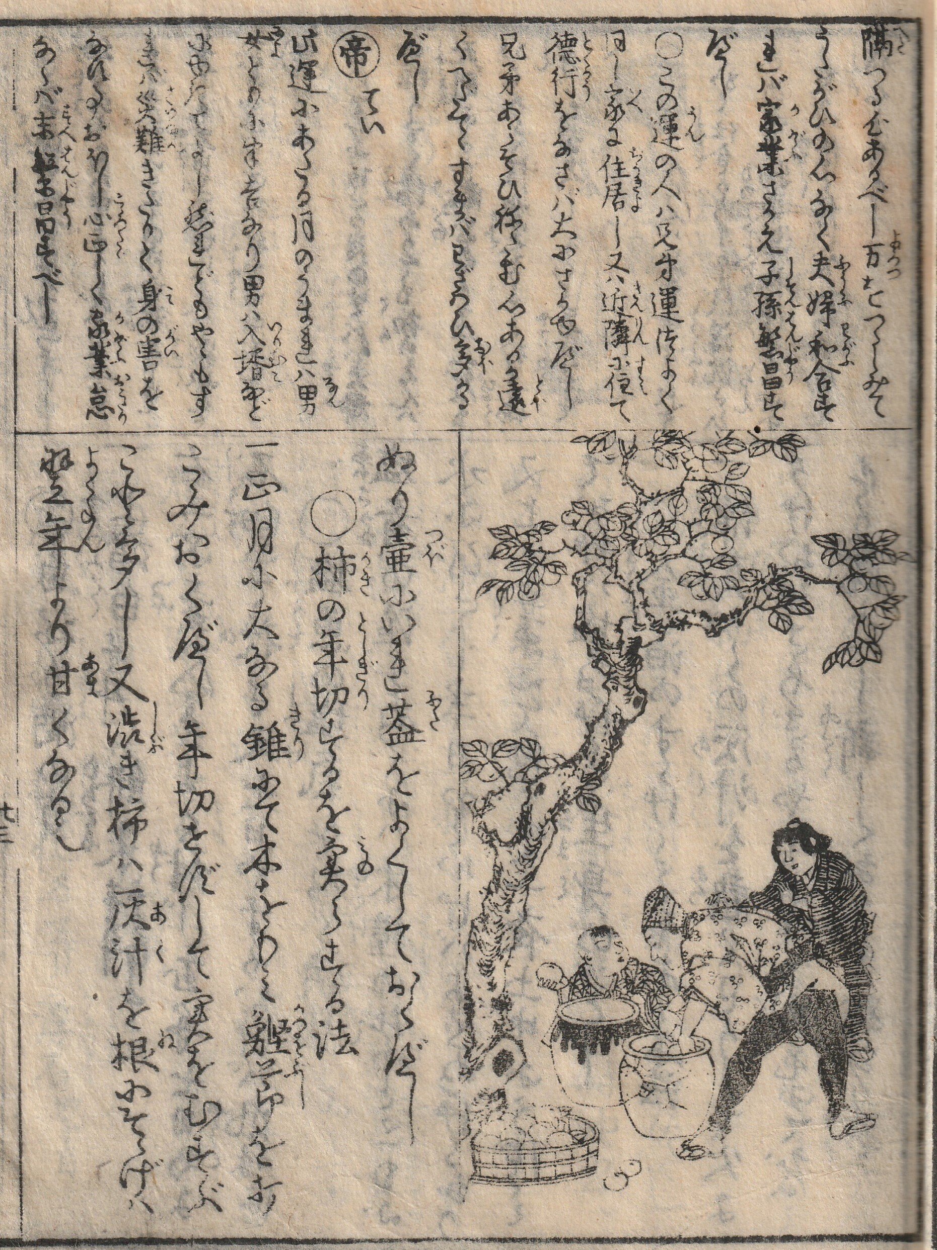 柿は日本の大切な食材！江戸時代の古文書『廣益秘事大全』解読⑬｜た