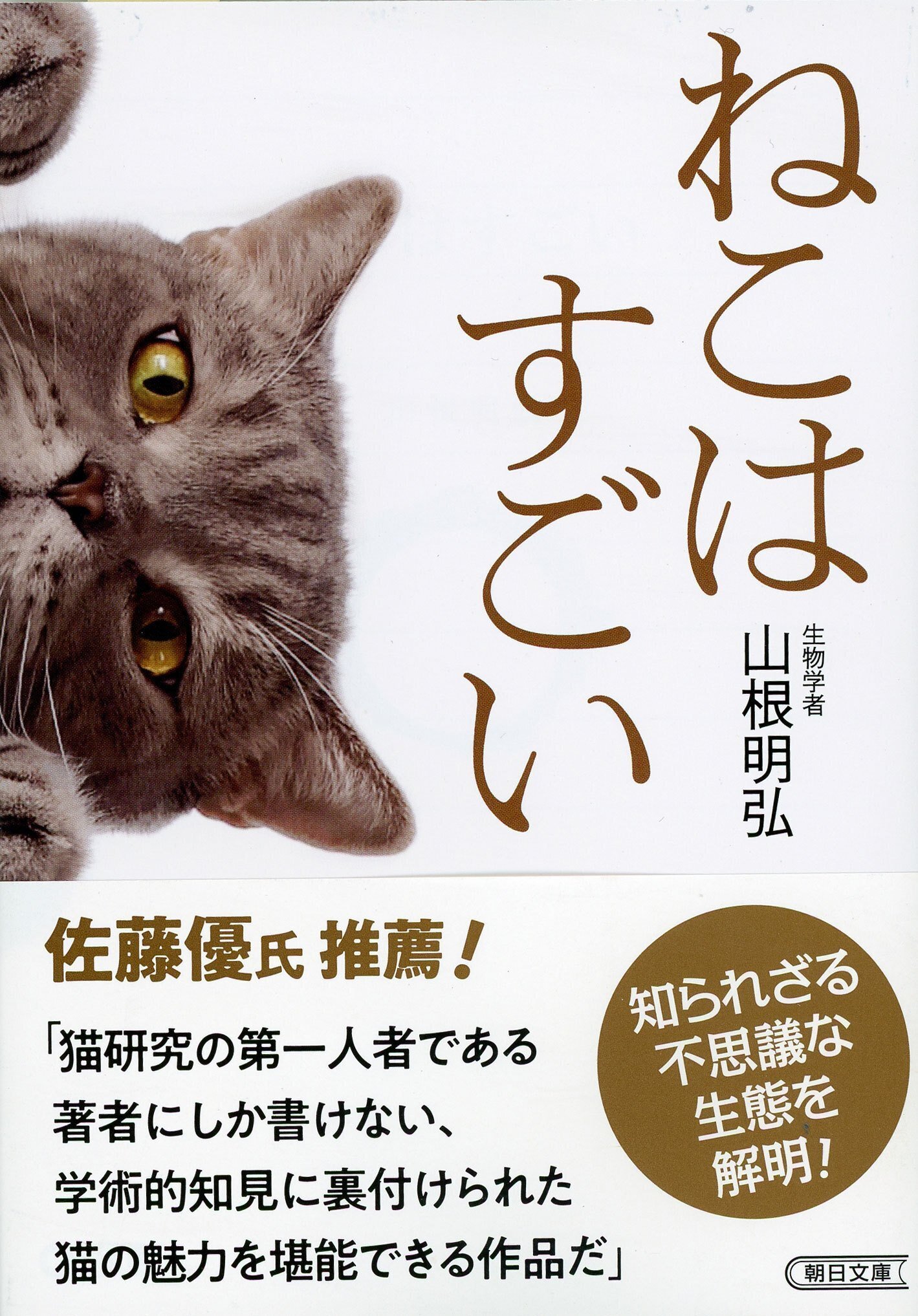 国内人気作家様、四つ足の猫 国内人気作家様、四つ足の猫