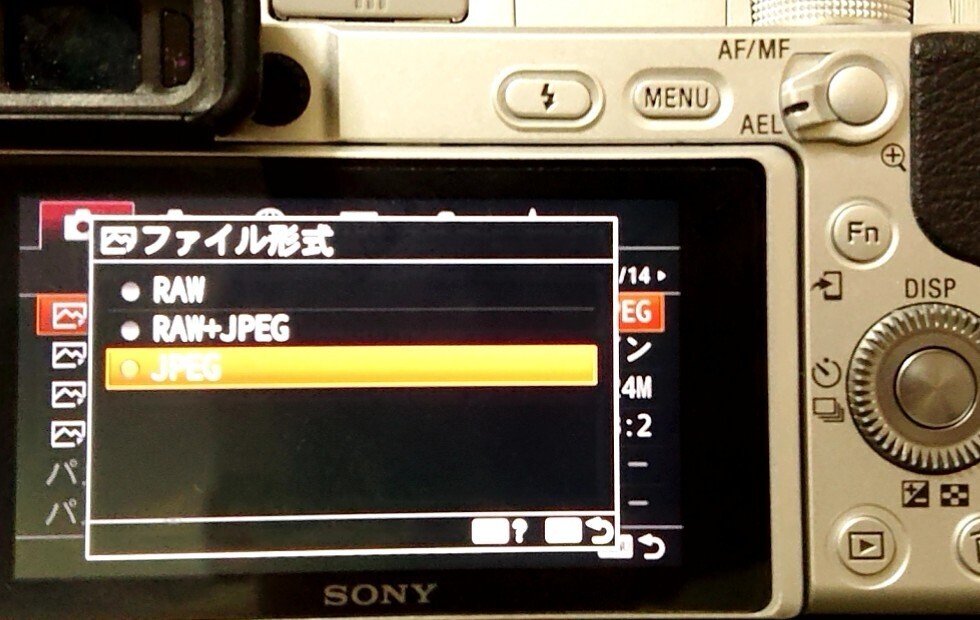 さよならα6400】2年半使い倒したsony α6400徹底レビュー