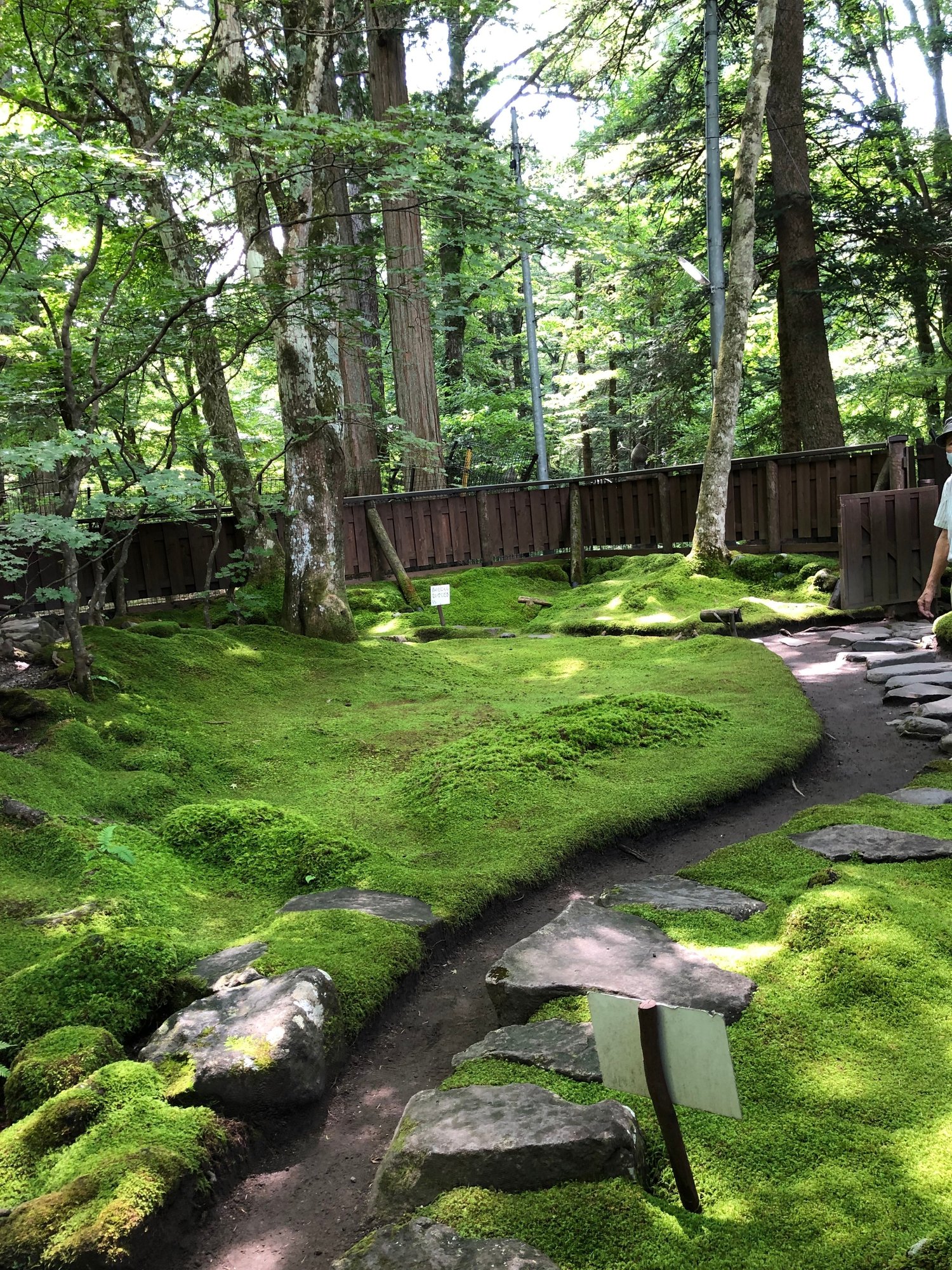 美しき苔の庭園と軽井沢の夏 Tamakiスタイルのアートフローラル 美しき苔の庭園と軽井沢の夏 Tamakiスタイルのアートフローラル