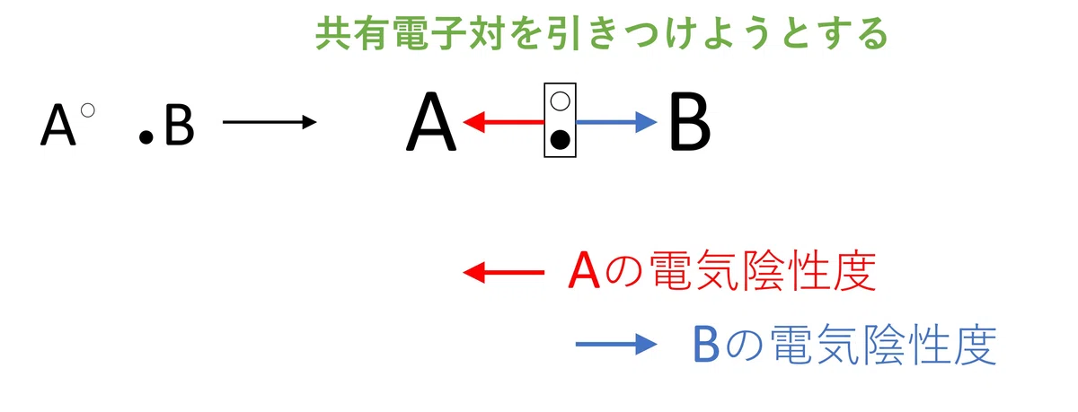 分子と極性|化学の大村 @私立中高一貫校 化学科教員