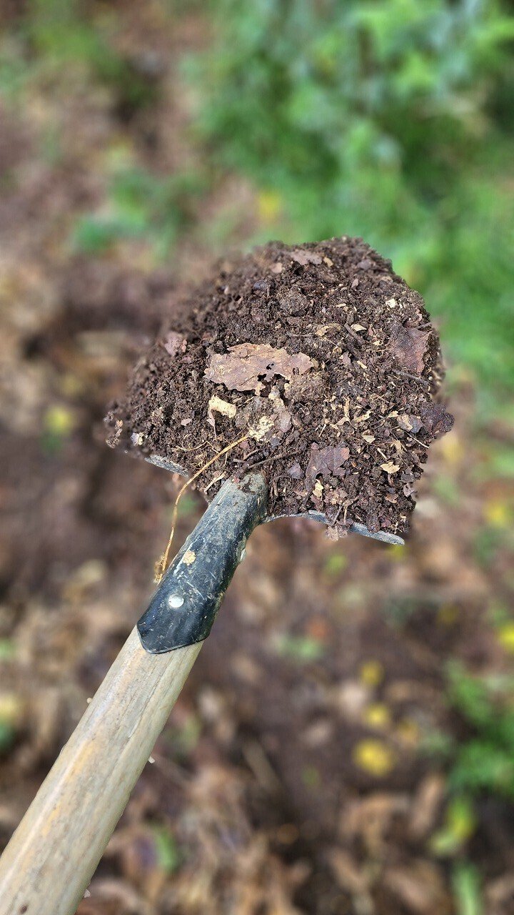 紫陽花の挿し木｜川崎市黒川青少年野外活動センター