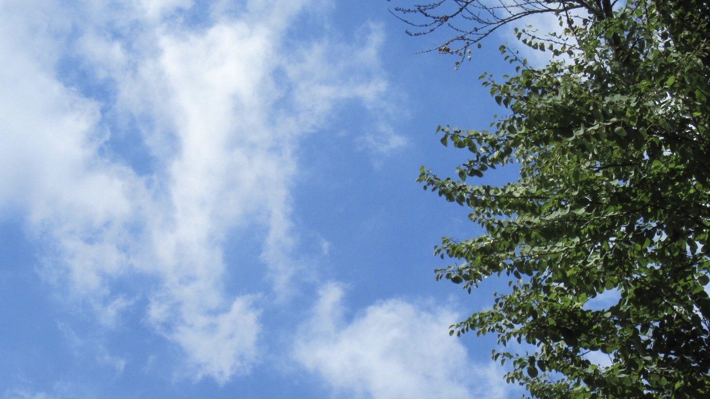 真夏の公園で おだ ちえ Note