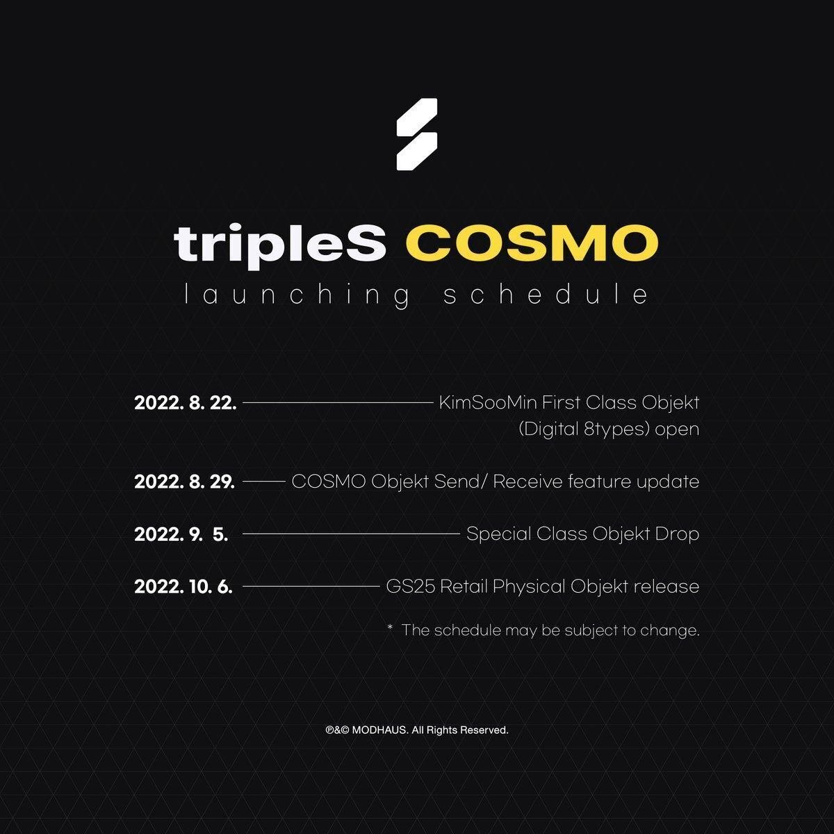 動き出したtripleS「オブジェクト」とは？～ビョンギさんの私の