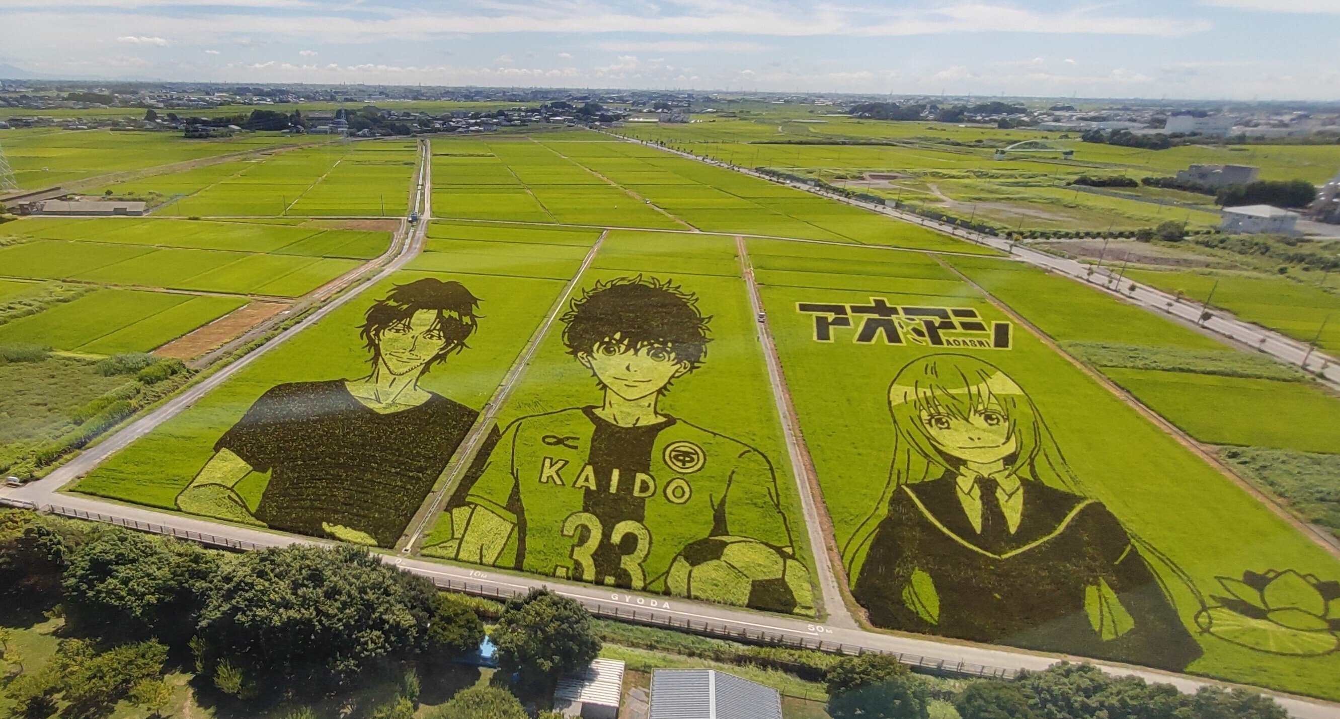 お出かけは田んぼ 埼玉ウォーカー】行田・世界最大の田んぼアート｜TRIP_YUKO｜お出かけ