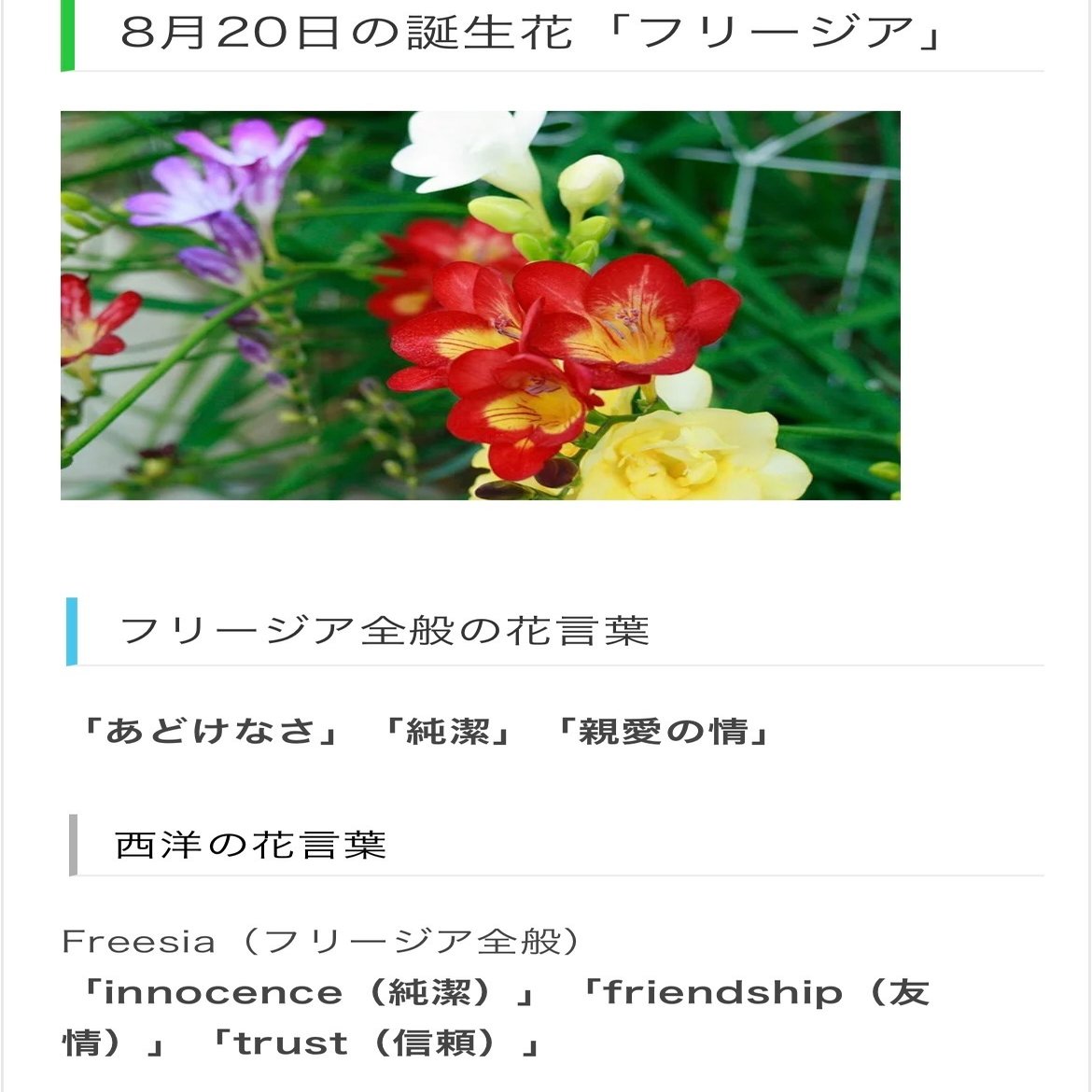 8月日生まれのあなたへ Chiyo Note
