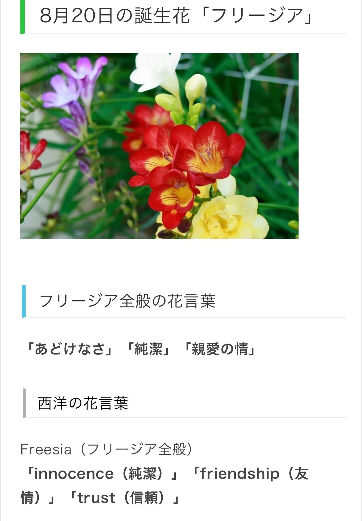 8月日生まれのあなたへ Chiyo Note 8月日生まれのあなたへ Chiyo Note