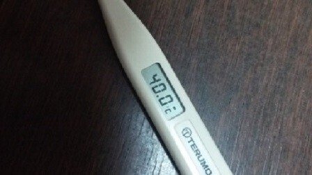 TERUMO デジタル体温計 40.0°C TERUMO デジタル体温計 40.0°C