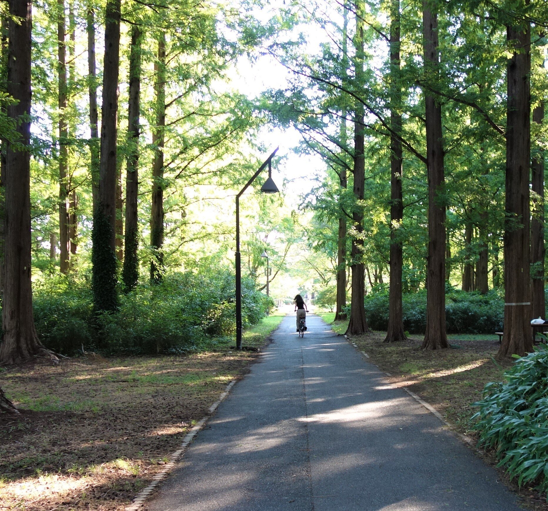 To west｜zep0814 i理昭