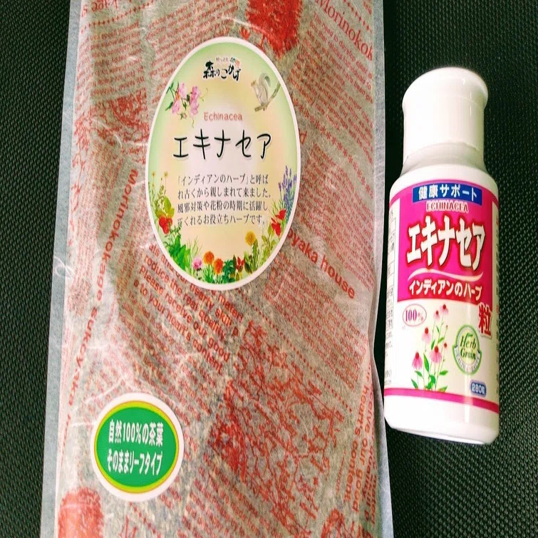 コロナ対策に免疫力upのハーブ「エキナセア」を常備！子供や高齢者の 