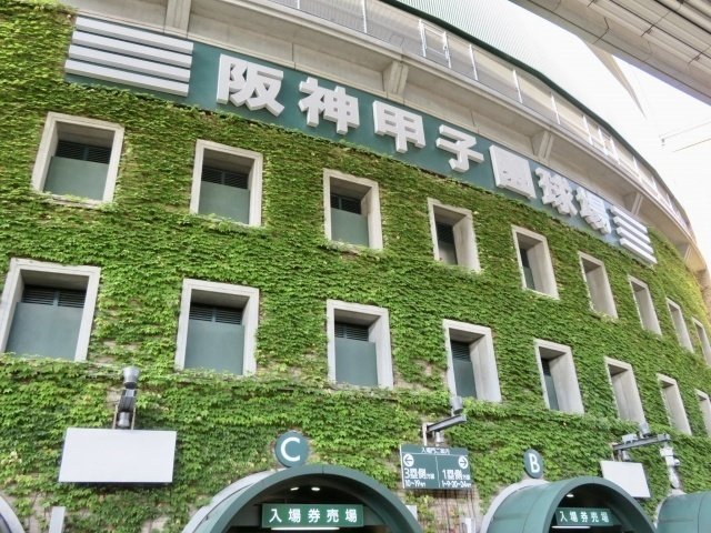 高校野球 審判員の行動に思わず涙した日 習慣応援家shogo Note 高校野球 審判員の行動に思わず涙した日 習慣応援家shogo Note
