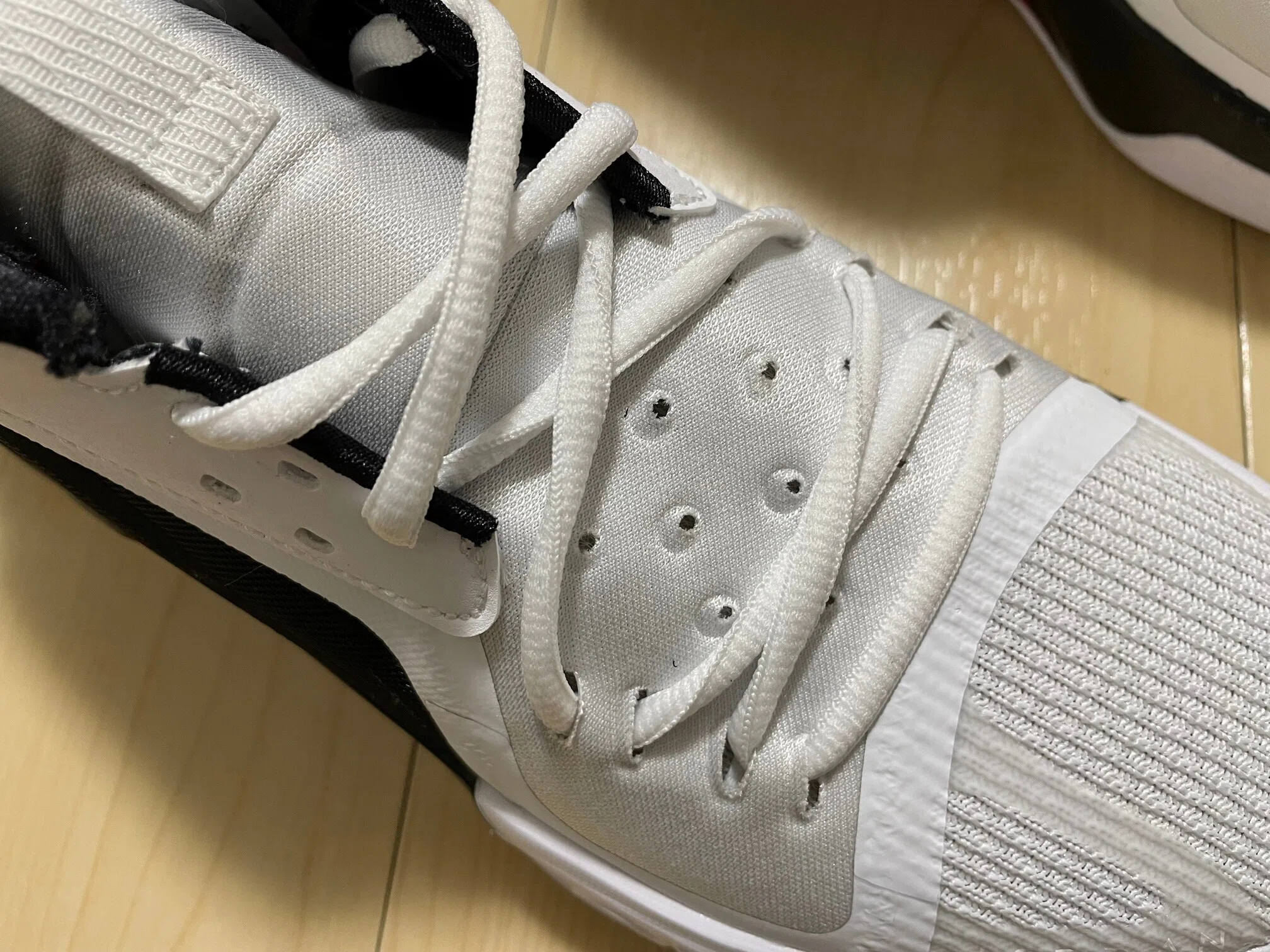 Jordan Zoom Separate PF Performance Review｜Brankなんとか