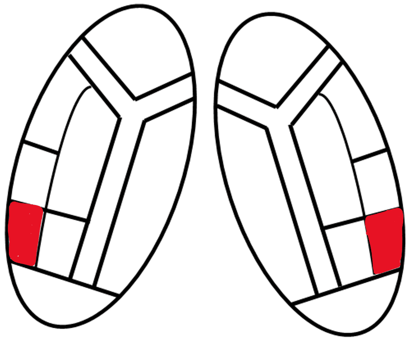 視床・後外側腹側核、後内側腹側核｜Fu