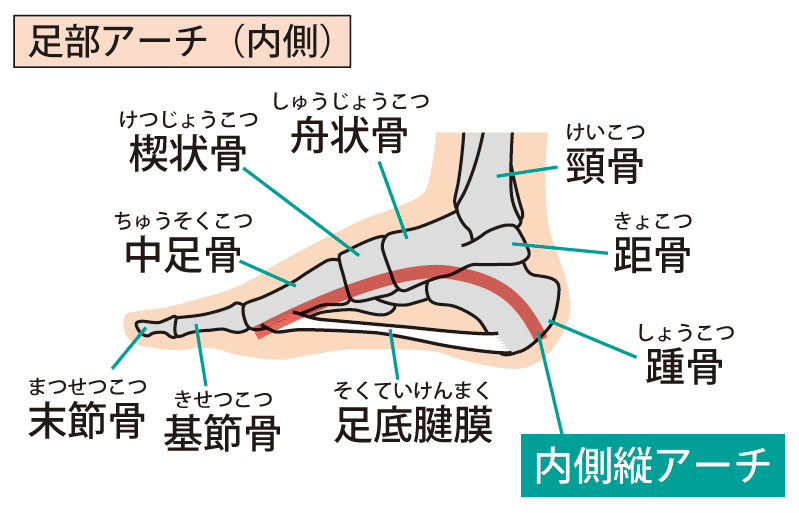 足関節痛の理学療法〜足部が苦手でもできる評価とアプローチ