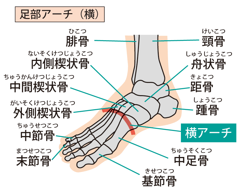 足関節痛の理学療法〜足部が苦手でもできる評価とアプローチ