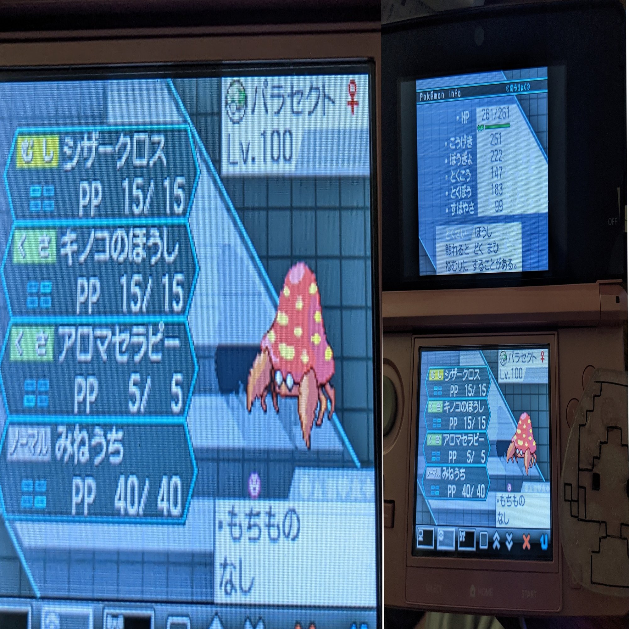 キノガッサ内定 歓喜と恐怖 ゆうか 主婦ゲーマー Note