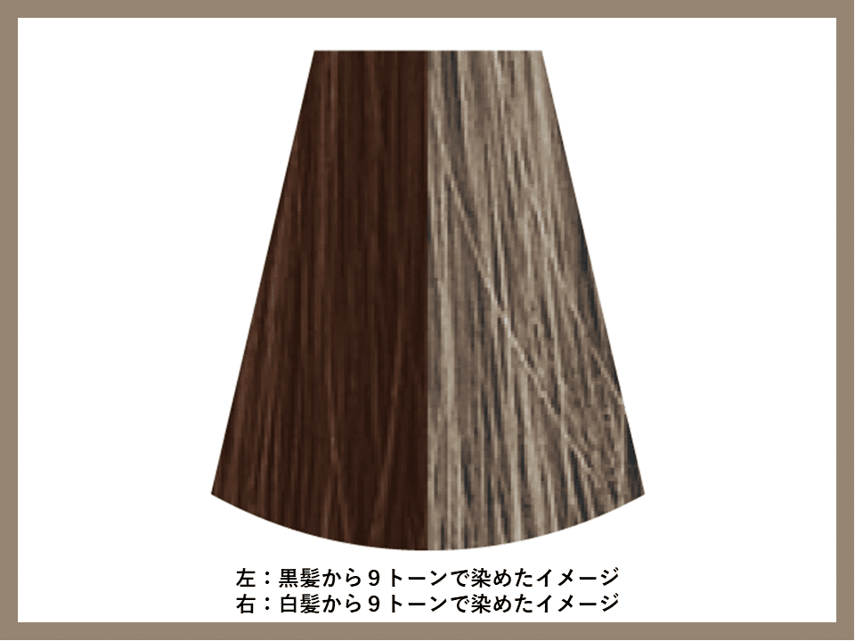 NAKANO元インストラクターの推しカラー3選｜中野製薬 公式