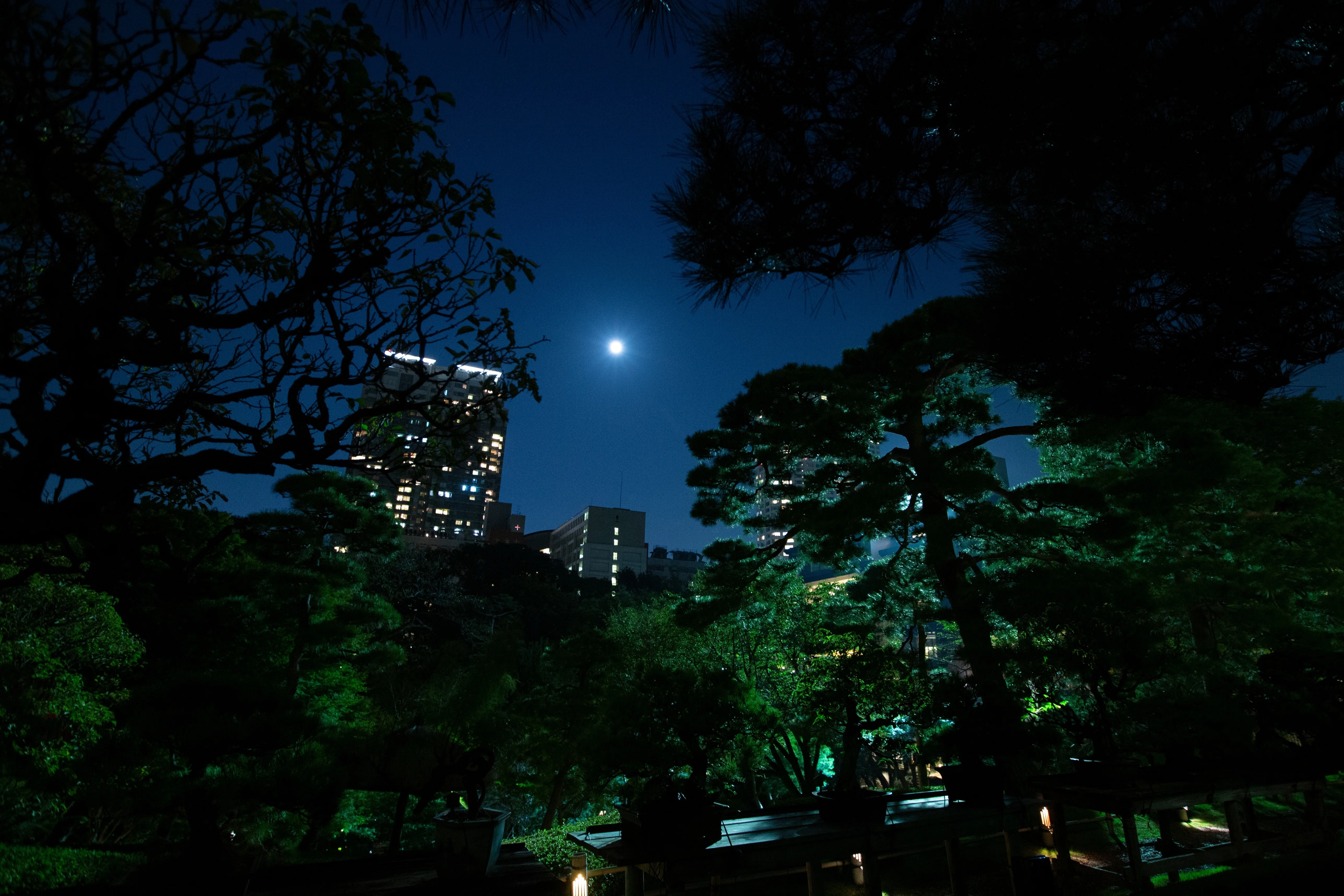 中秋の名月 - 400年以上の歴史ある日本庭園でのお月見の楽しみ方｜八芳