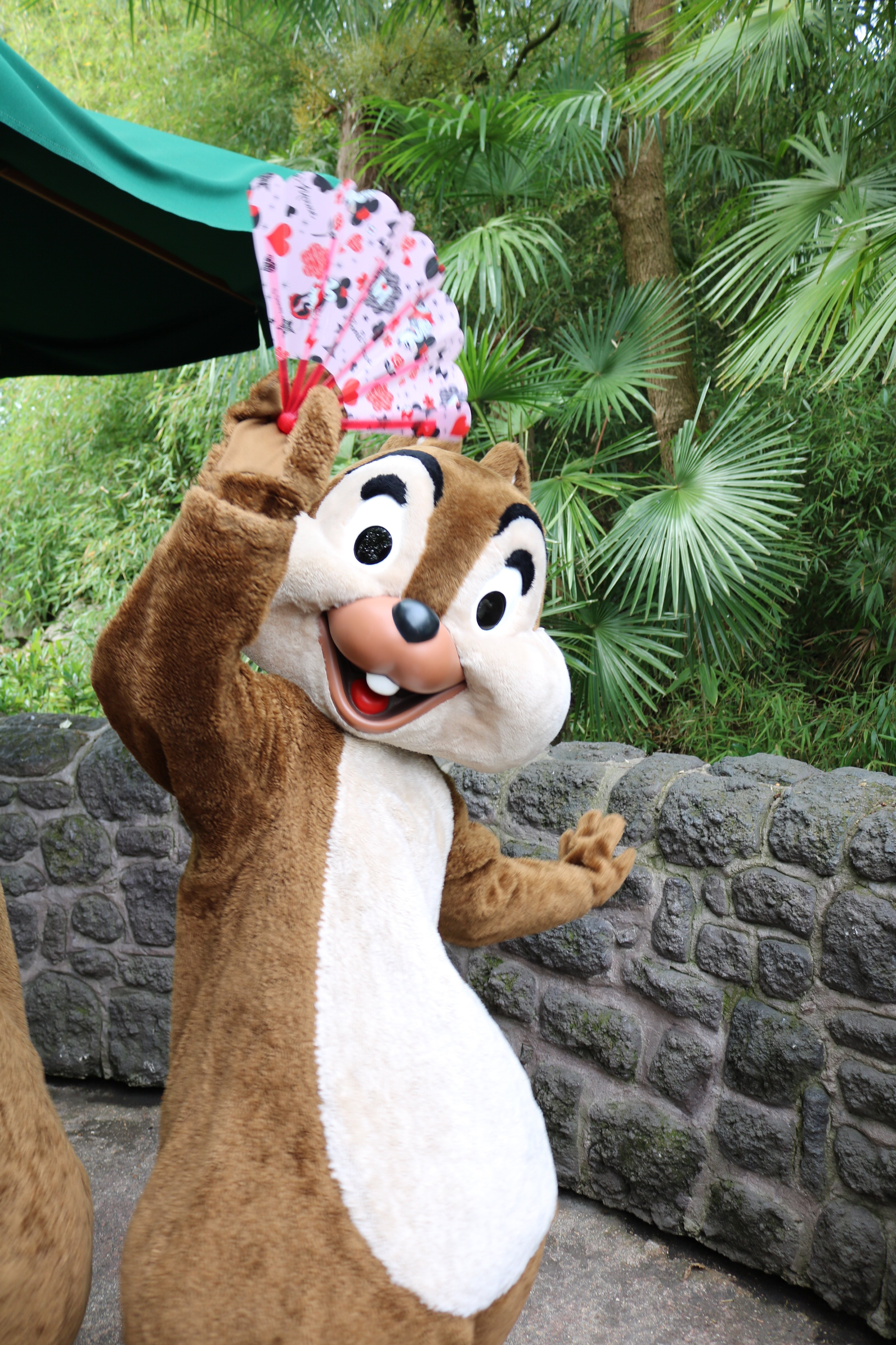 ディズニーランドパリ🏰チップとデールが扇子で踊る💃｜ミオルク