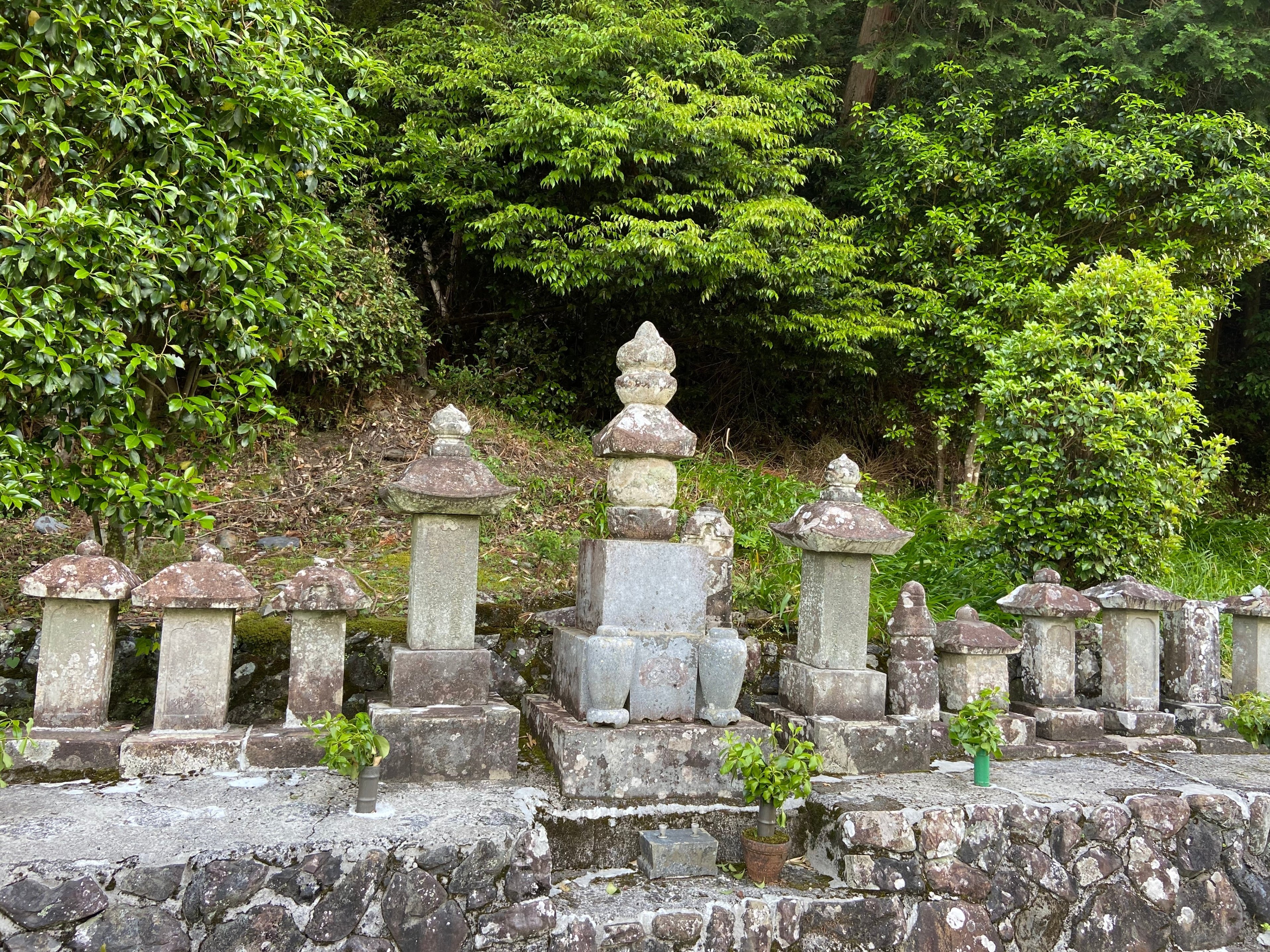連載～静岡の歴史を学ぼう152】Asakura family in Kakishima 柿島の
