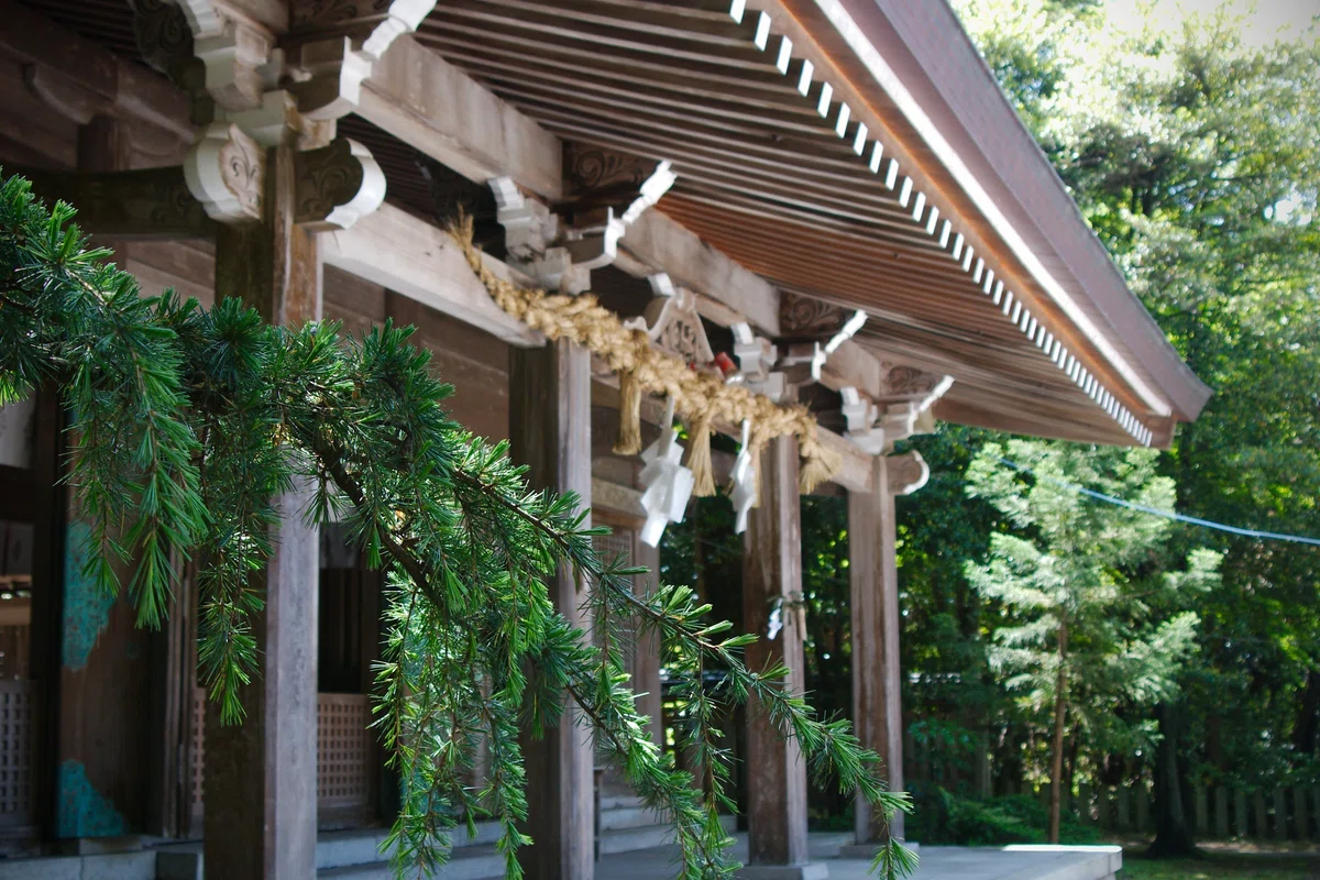 画像