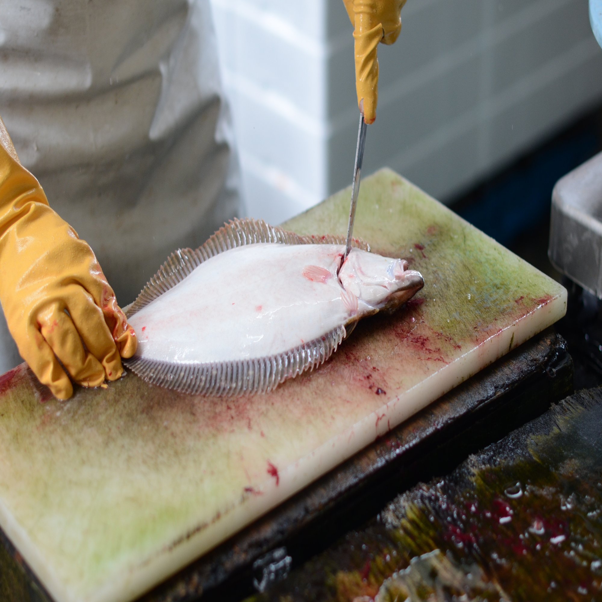 魚の県 茨城の漁港とおすすめしたい４人の個性的な魚屋さん 茨城県公式 シェフと茨城