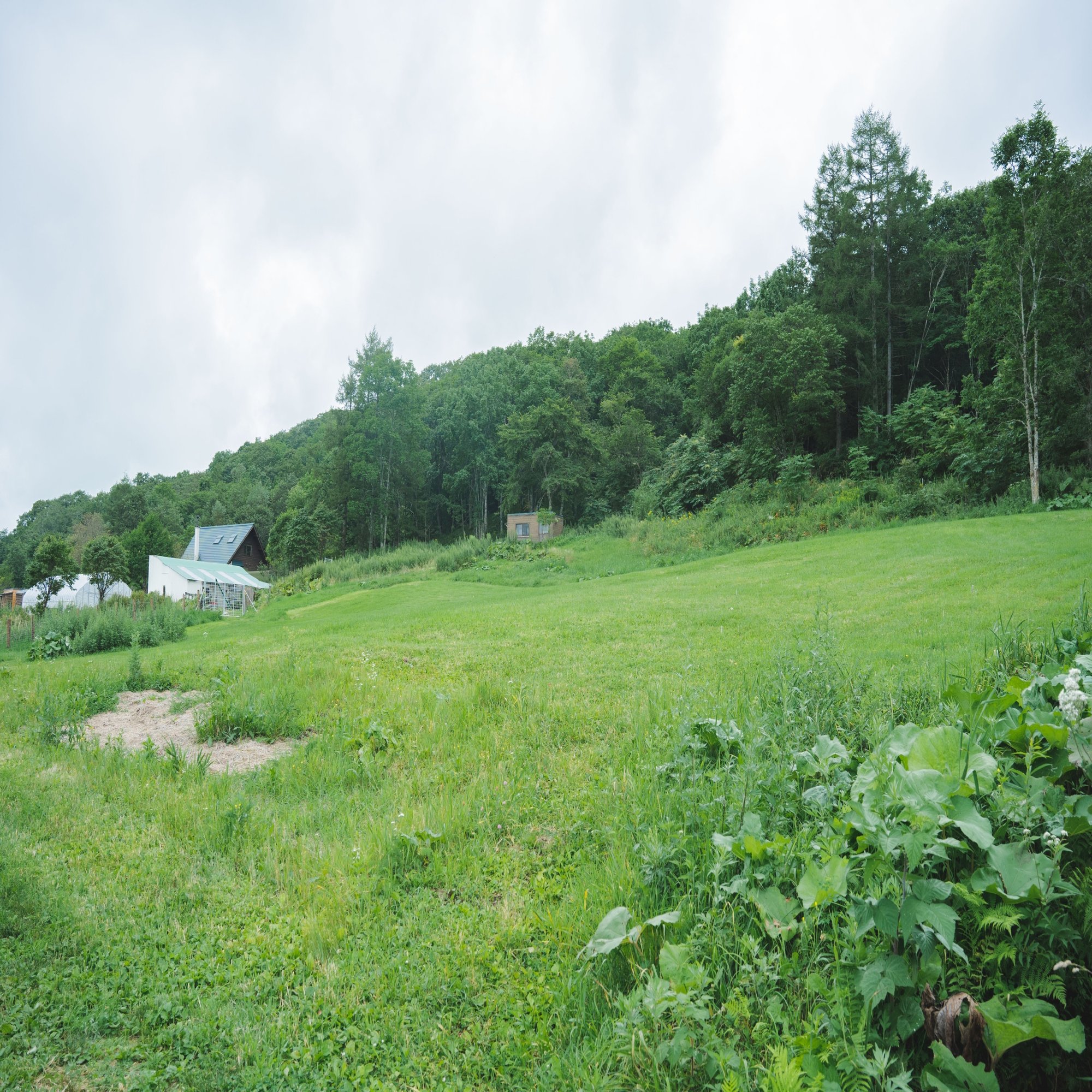 ドッグラン 敷地２０００坪超 草原の中で思いっきり愛犬と遊び尽くそう Stubble Village 阿寒町で遊ぶ 阿寒町によってって 北海道釧路市阿寒町の暮らし情報ページ Note