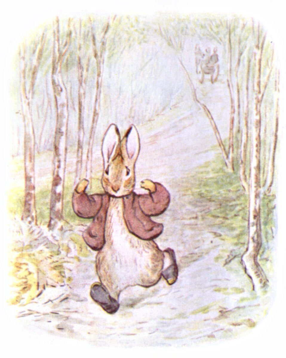 Peter Rabbit作品集｜Shigetaka3