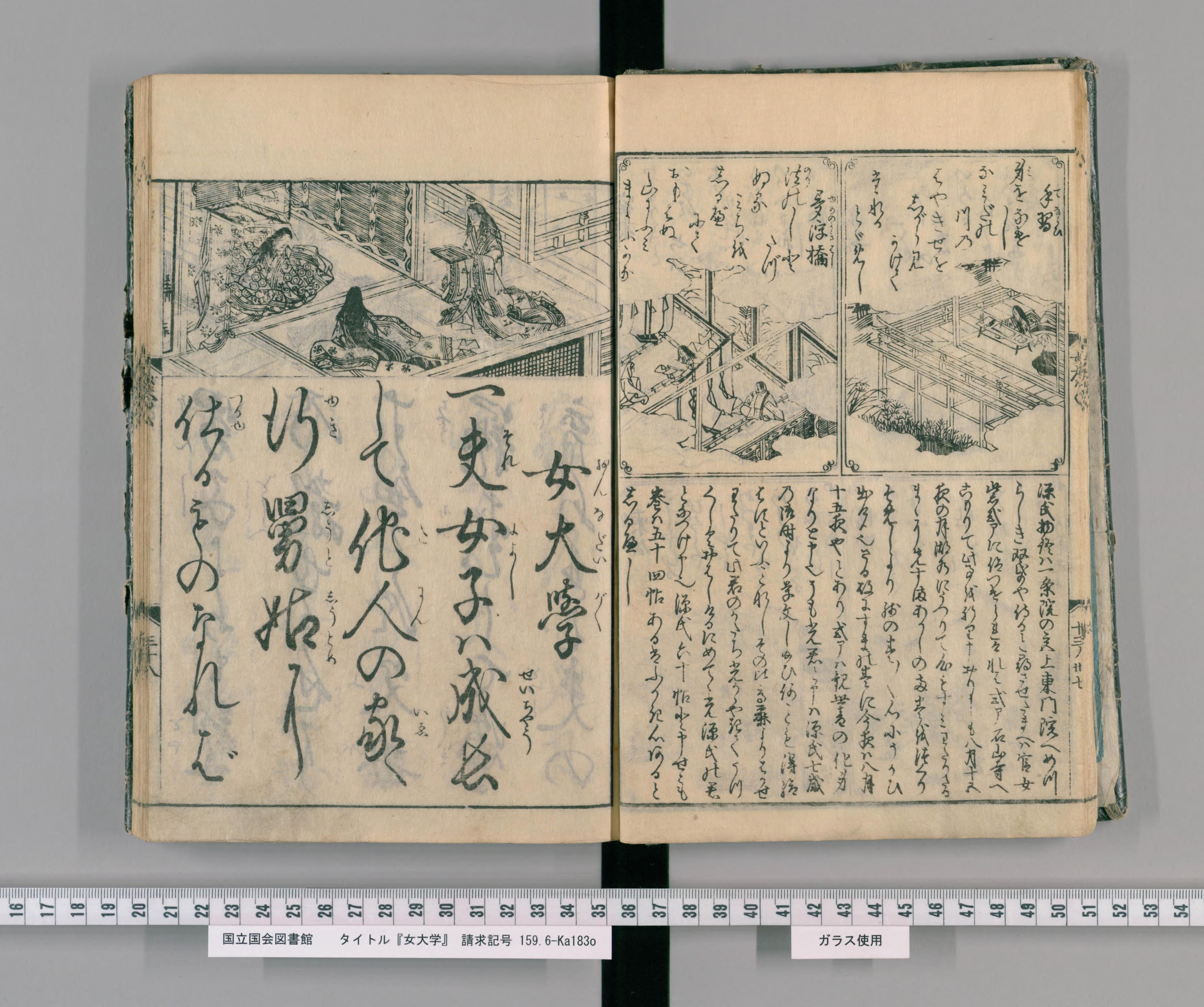 0498 結婚と健康の医学 シャトレーヌ 新女性全書 小学館 臨床